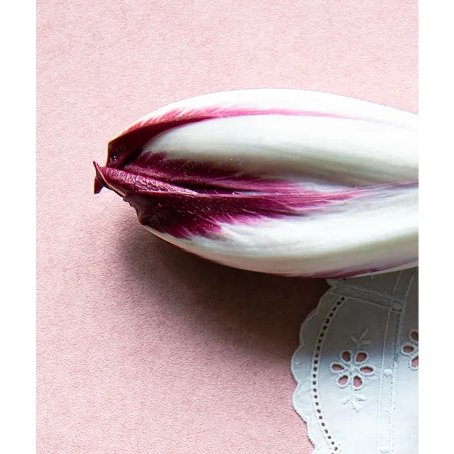 Educated as an art historian, Marlou Pulles has turned her fascination for art into still-life photography. With her...