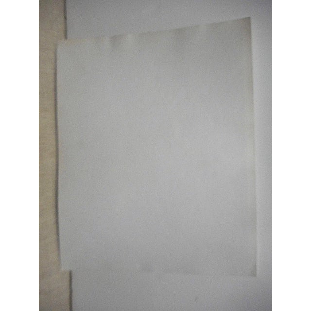 We just acquired a small collection of original 8x10 glossy photographs from the 1960'd. Each of these quirky photos...