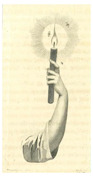 Thomas Holloway, Arm of a Man, Original Etching, 1810
