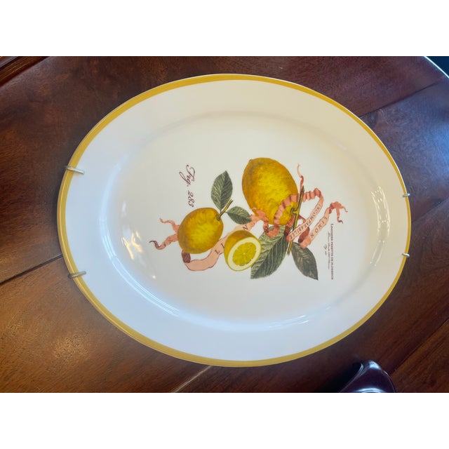 Williams-Sonoma French Country “Limon Incomparabilis” Serving Platter 19”x13.5” For Sale In Indianapolis - Image 6 of 8