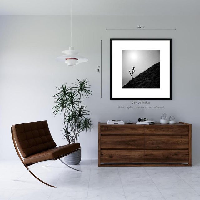 Contemporary Paul Cooklin, Tree, Castleton, Peak District, Edition of 50 For Sale - Image 3 of 5