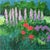 Garden Color by Anne Carrozza Remick For Sale In Providence - Image 6 of 6