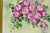 Late 20th Century Mary Wilson French Hand Painted Porcelain Plaque Pink Rose Flower Painting (A) For Sale In Philadelphia - Image 6 of 17
