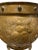 Metal Rare, Large Antique English Jardinière With Brass Etchings and Lion Heads For Sale - Image 7 of 13