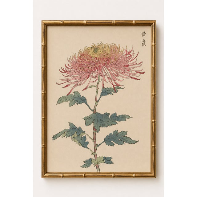 Japanese Spider Mum by Hasegawa, Vintage Botanical Art Print, 20" X 30" For Sale In Buffalo - Image 6 of 11