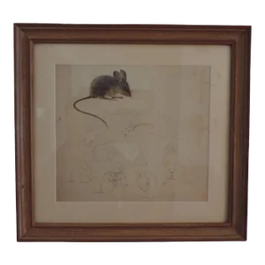 Pencil Drawing & Watercolor Painting of Mice by Stephen Voorhies Study for Children's Book