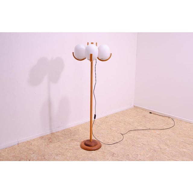 Mid-Century Modern Atomic Age Hotel Floor Lamp, Czechoslovakia, 1970s For Sale - Image 3 of 18