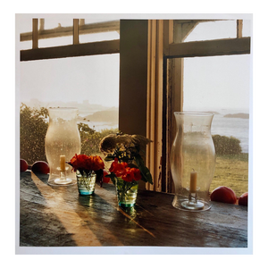 Peter C. Jones 1, Last Light Nasturtiums, Large Format Photo 24X20 Color Photograph Beach House RI, 2004