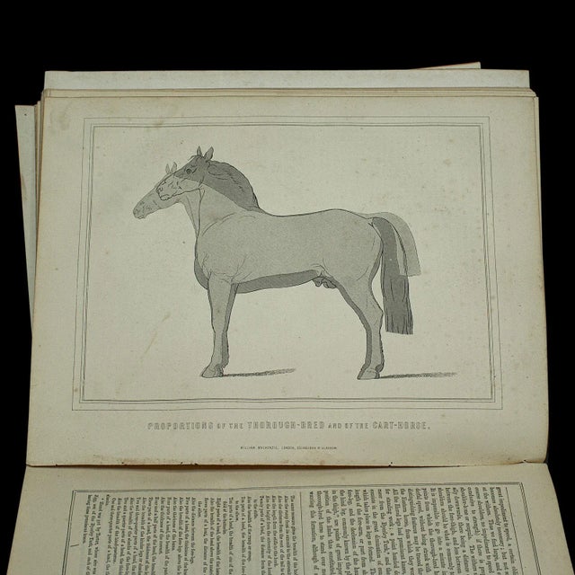 1900's Large English Antique Book Modern Practical Farriery For Sale - Image 10 of 12