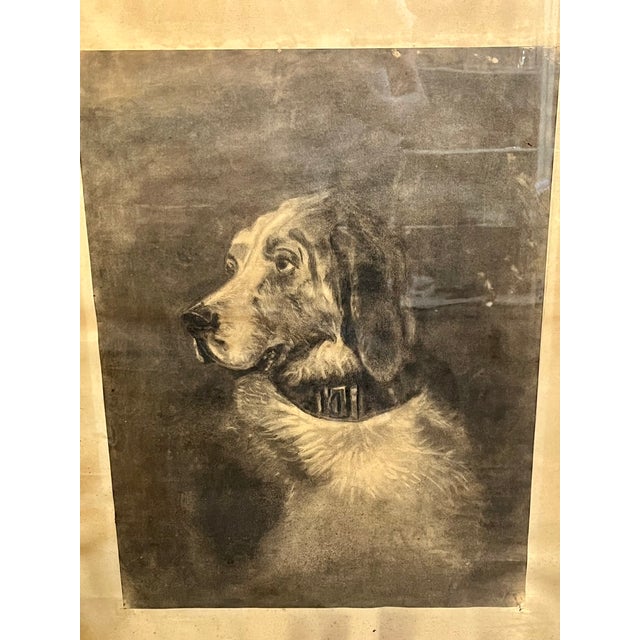 Antique sepia tone engraving of a blood hound after the painting Odin by Sir Edward Landseer a Victorian artist. This...