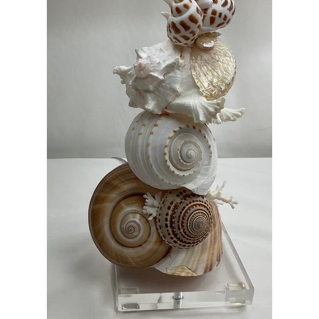 White Hollywood Regency Natural Shell Lamps With Linen Shades - Pair For Sale - Image 8 of 9