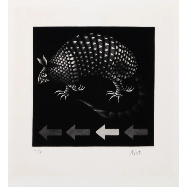 French Mario Avati, Armadillo, Mezzotint For Sale - Image 3 of 3