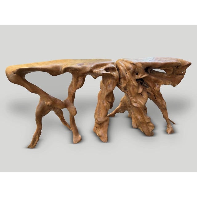 Andrianna Shamaris Monumental Sculptural Teak Root Console Table For Sale - Image 10 of 18