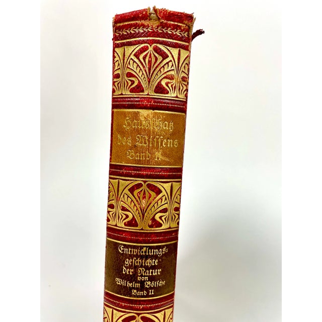 Antique German Leather Decorative Books- a Set of 8 For Sale - Image 4 of 6
