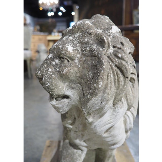 A French Medici Style Lion in Reconstituted Stone, 20th C For Sale - Image 16 of 18