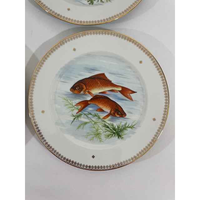 An exquisite set of six French Limoges Porcelain Dinner Plates with colorful hand painted game fish displayed on each...