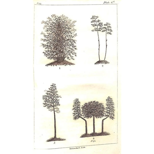 Traditional "The Forest Pruner: Or, Timber Owner's Assistant" 1808 Pontey, William For Sale - Image 3 of 8