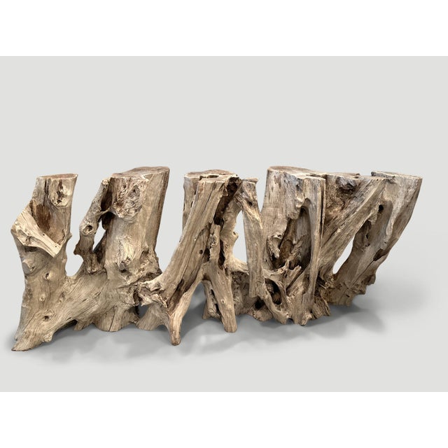 Andrianna Shamaris Monumental Organic Teak Wood Root Console Table For Sale - Image 18 of 18
