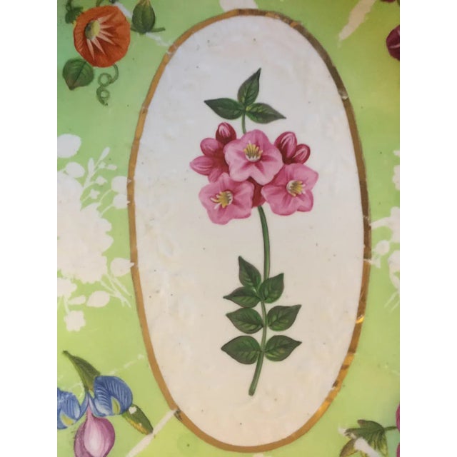 19th Century Antique Early 19th Century English Regency Coalport Porcelain Botanical Oval Dessert Dish For Sale - Image 5 of 9
