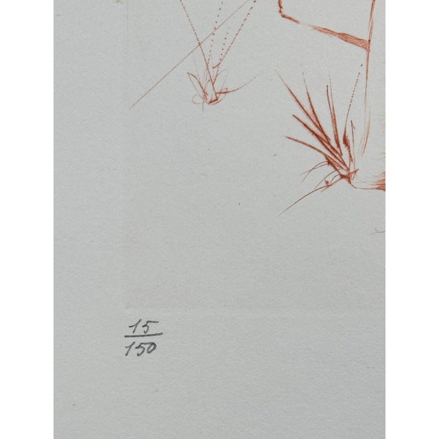Dali Album Soft Telephone Hand Signed Numbered Etching Surreal Rare Art For Sale - Image 4 of 4