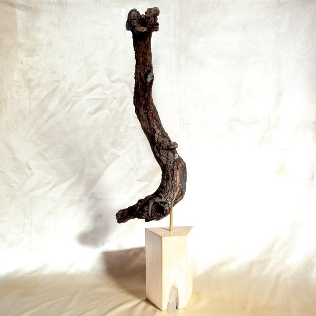 "SKORIA" Created by Benjamin Arseguel; Texas, 2022. Texas Live Oak, Elm, brass. 34ʺH x 10ʺW × 5ʺD. Transience and...