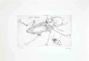 Sergio Barletta, Insects, Etching, 1974