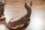 Paint Vintage Pair of Midcentury American Deer Sculptures with Weathered Patina For Sale - Image 7 of 9
