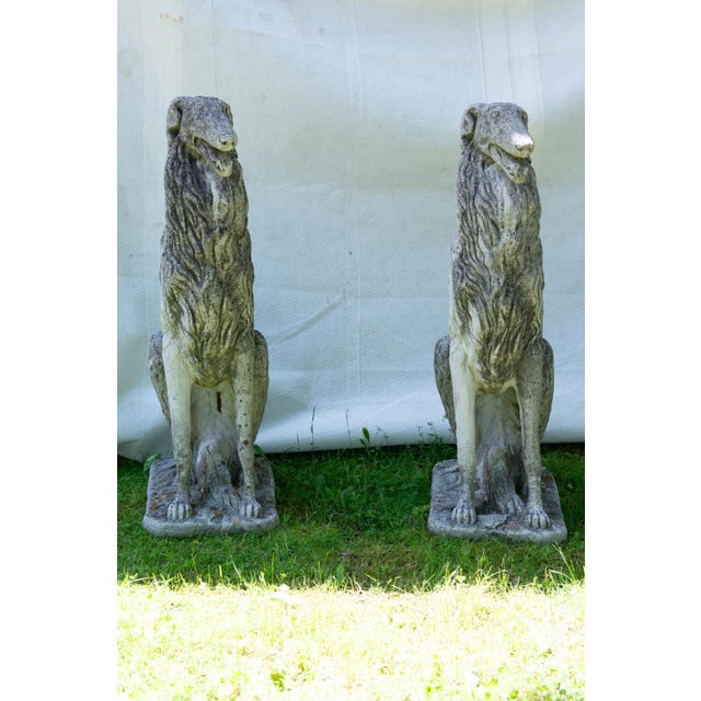 White Pair of European 1930s Life Size Borzoi Russian Wolfhound Dogs For Sale - Image 8 of 12