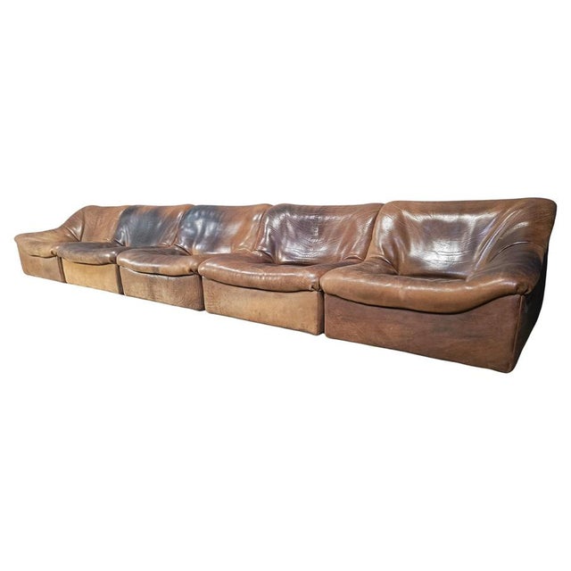 Vintage Bufflao Leather DS46 Modular Sofa from de Sede, 1970s, Set of 5 For Sale - Image 9 of 9