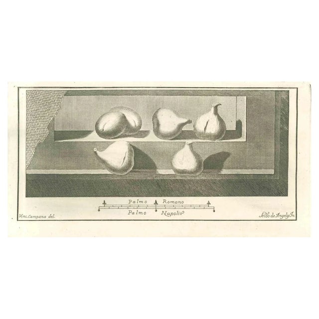 Vincenzo Campana, Still Life Fresco, Etching, 18th Century For Sale