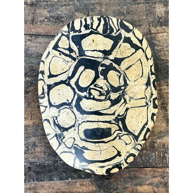 Vintage Italian Scagliola Pigmented Plaster Turtle Shell For Sale In West Palm - Image 6 of 12