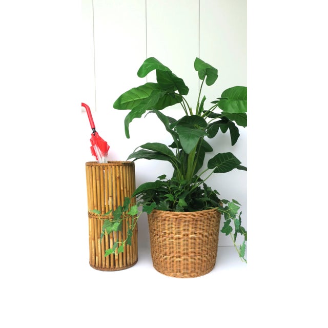 Mid 20th Century Wicker Bamboo Umbrella Holder Stand For Sale - Image 5 of 10
