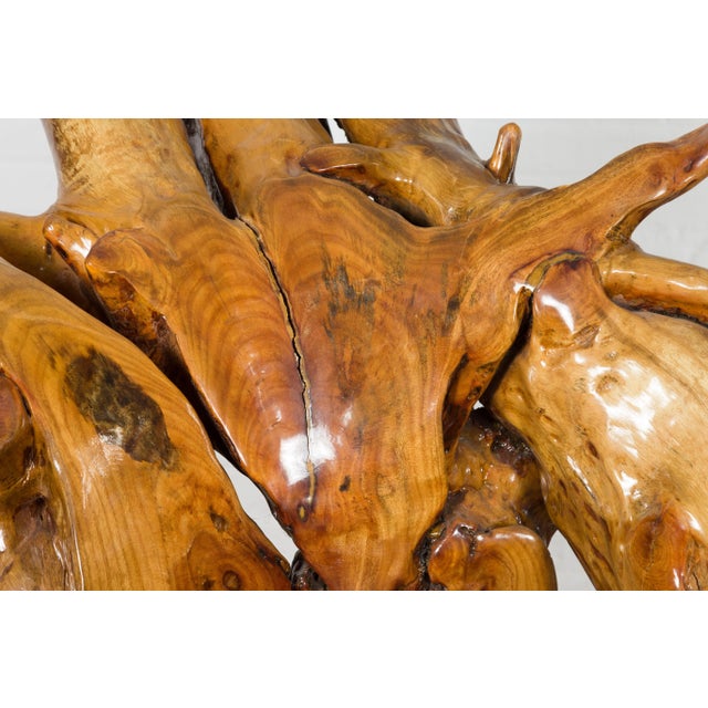 Vintage Camphor Wood Root Chair with Natural Varnish Lacquer For Sale In New York - Image 6 of 12