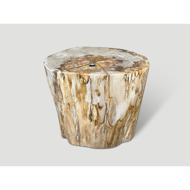 Impressive beautiful contrasting tones and markings on this high quality petrified wood side table. It’s fascinating how...