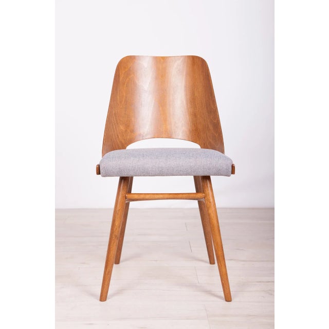 Model Lollipop Dining Chairs from Tatra, 1960s, Set of 4 For Sale - Image 9 of 17