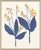 Hable Desert Flowers by Susan Hable For Sale - Image 4 of 6