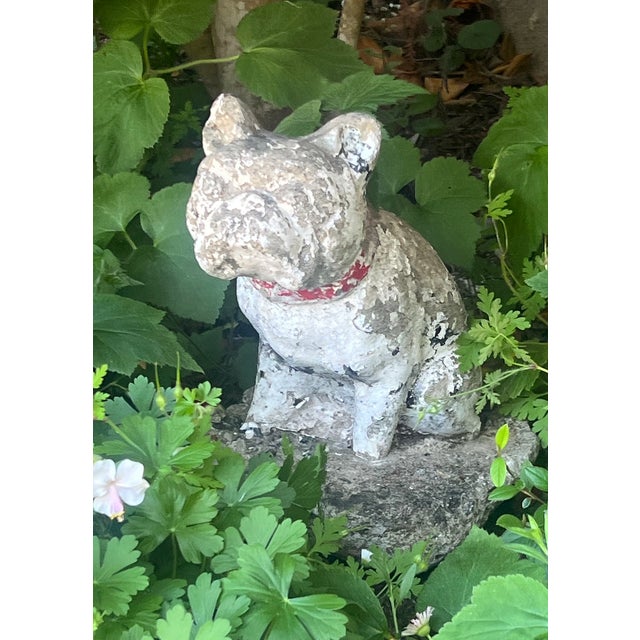 Antique Weathered French Bull Dog Concrete Dog Statue, C. 1940's For Sale - Image 12 of 15