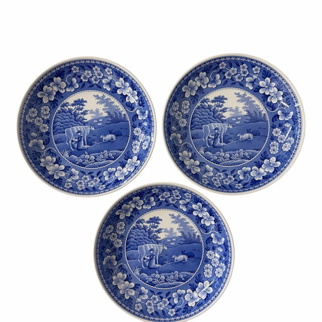 Farmhouse Spode the Blue Room Collection Traditions Series “Milkmaid” , For Sale - Image 3 of 7
