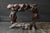 Antique Japanese Burl Wood Display Stand / Meiji-Showa / Organic One-of-a-Kind For Sale - Image 10 of 18