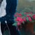 Early 21st Century Rain King by Shelli Langdale | Oil on gallery panel Woman holding a white horse figurine among flowers. For Sale - Image 5 of 5