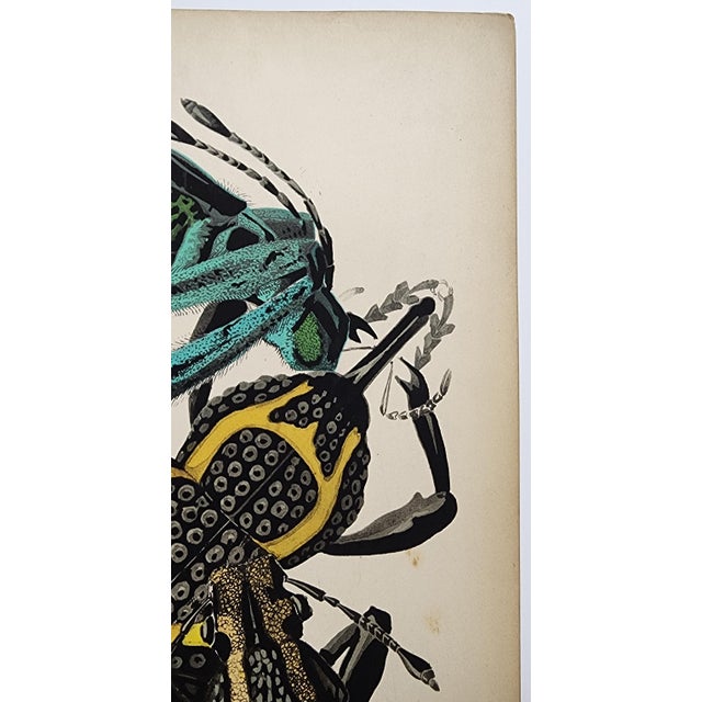 Art Deco Original Seguy Insect From 1924 Antique Pochoir Plate #14 For Sale - Image 3 of 12
