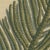 Paper Bertuch, Norfolk Island Pine Branch and Cone, 1815, Print For Sale - Image 7 of 12
