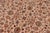Traditional 1990's Floral Pak-Persian Ivory/Green Wool Rug - 7'11'' X 10'1'' For Sale - Image 4 of 9