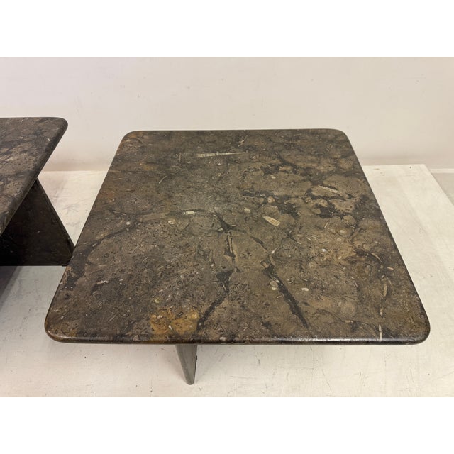 Nest of two fossil stone coffee or side tables. A striking nest of fossil stone coffee tables, featuring a sculptural,...