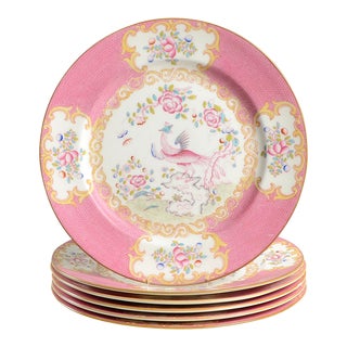 Minton Cockatrice Pink Dinner Plate - Set of 6 For Sale