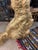 2000 - 2009 Custom - Made Cave Rock Formation Gold Finish Resin Floor Mirror For Sale - Image 5 of 9