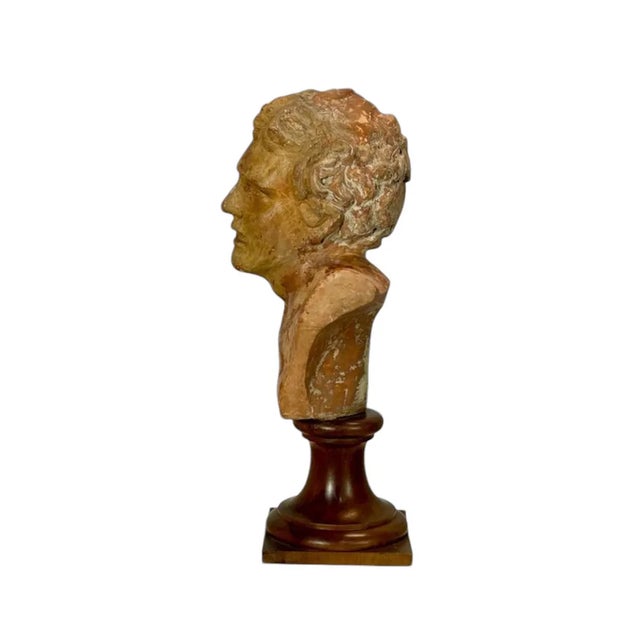 Classic Male Bust, 1890s-1910s, Terracotta For Sale - Image 4 of 7