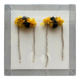 Vintage Mid-Century Urubu-Ka’apor Feather Armbands in Museum Acrylic Case For Sale