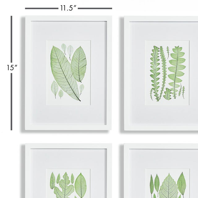 In a woodcutlike composition, this set of four prints add a vibrant pop of green. Finished off with a crispWhite mat and...