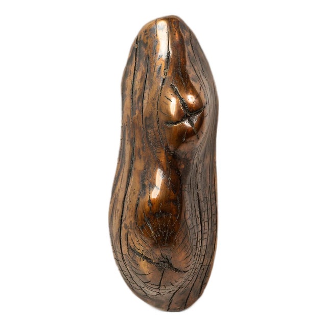 1 of 1 Organic Modern Wall-Hanging "New Beginnings" Sculpture in Solid Bronze by Mark Leblanc for Leblanc Studios, Usa, C. 2020s For Sale